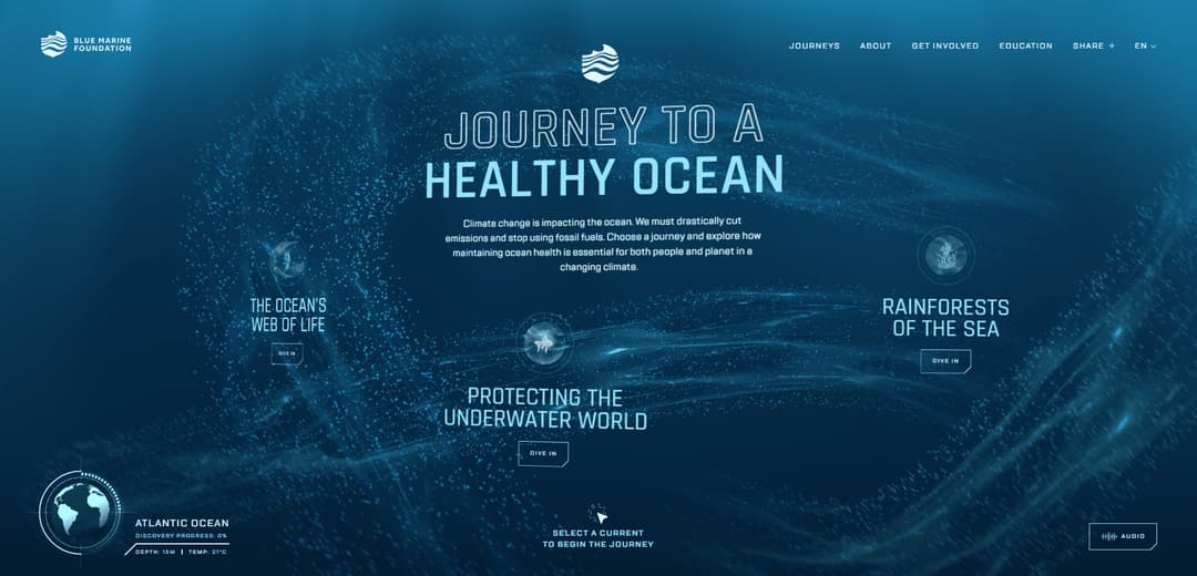 Blue Marine Foundation